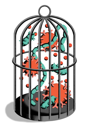 illustration